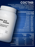 Протеин сывороточный с черничным пирогом Not Just Protein