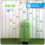 Ручная кладь King of King, Зеленый, S