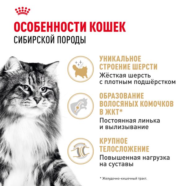 Сухой корм Royal Canin Siberian для взрослых кошек породы Сибирская от 12 месяцев