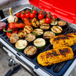 Газовый гриль LIBHOF Travel Grill Q-100