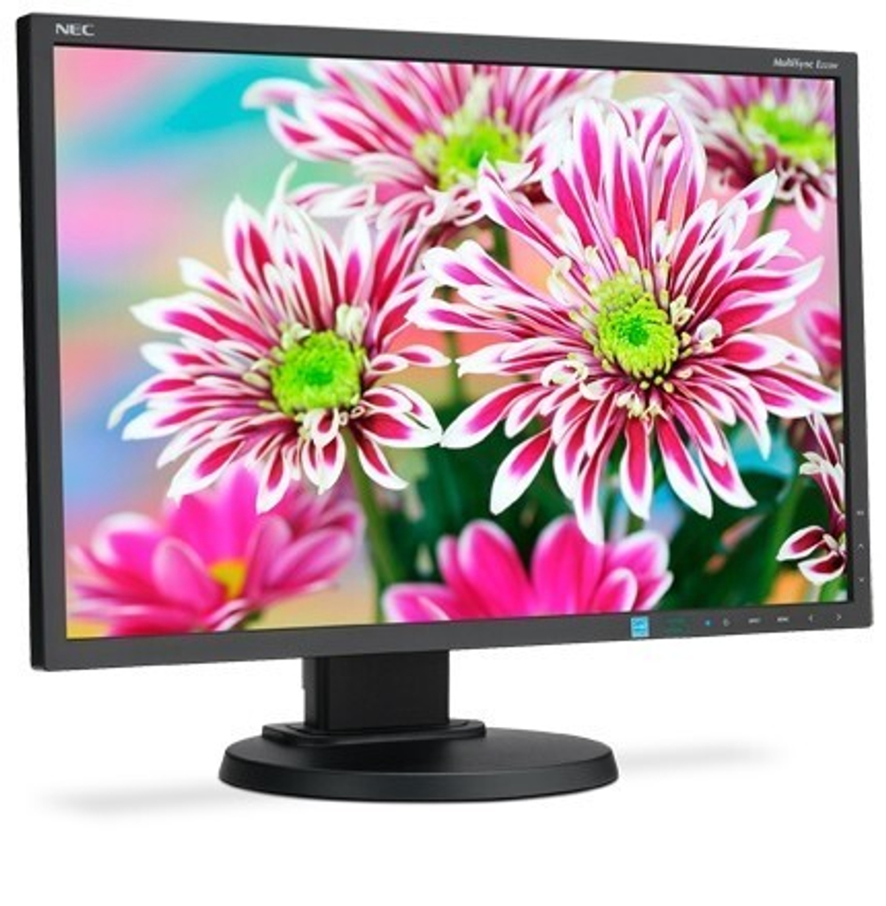 Монитор NEC MultiSync E223W 22' Black