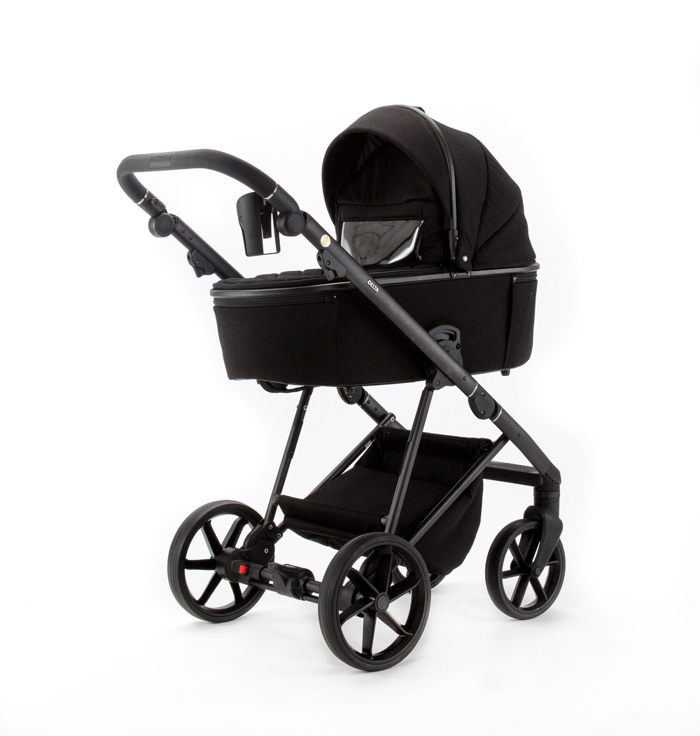 Коляска 2 в 1 Adamex Delta Nature