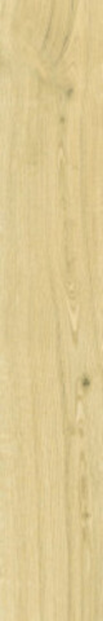 Керамогранит VIVIDWOOD Светлый Дуб (K948120R0001VTEB)