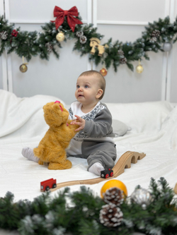 Флисовый костюм Лапки