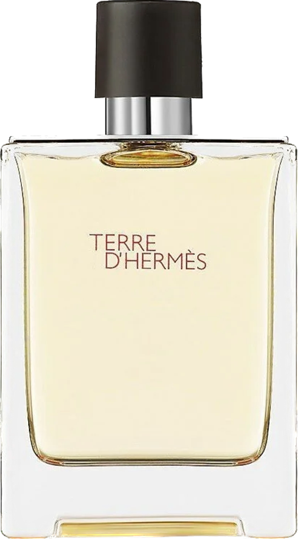 Hermès Terre D'Hermès EDT