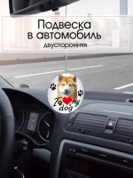 Подвеска в машину - Сиба-ину