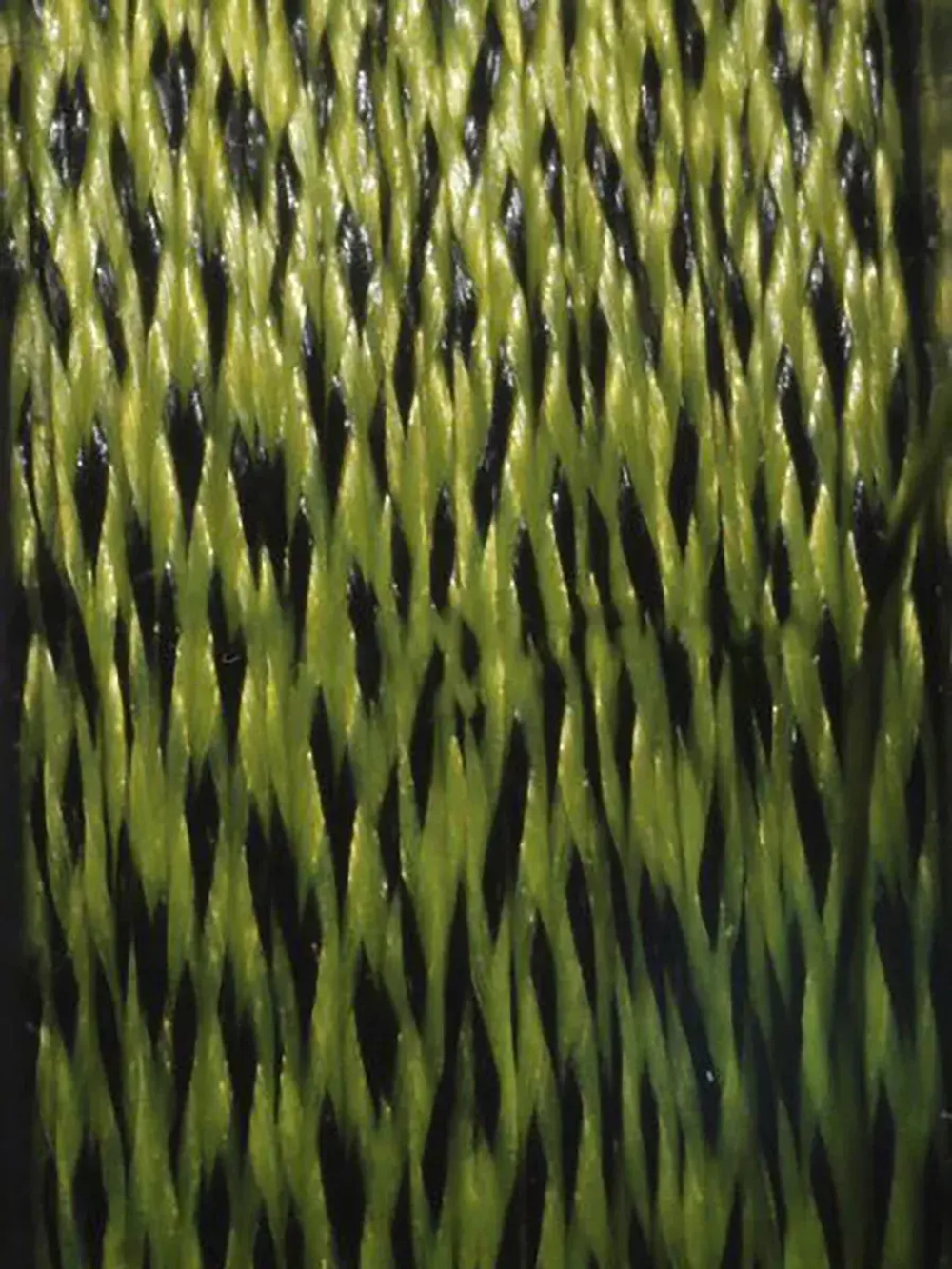 Поводочный материал CARP AGEx3 Ил/Глина 1500m 9,2kg/20,3lb