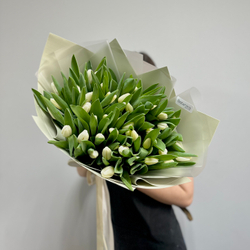 Букет из 51 хрустящего белого тюльпана  1084