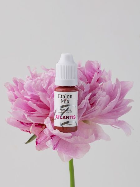 Галерея (4) Блок 37