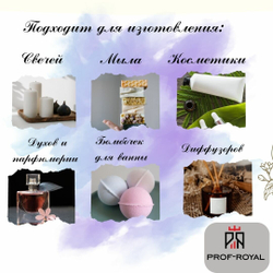 Prof-Royal отдушка парфюмерная Manga M для свечей, мыла и диффузоров, 100 мл