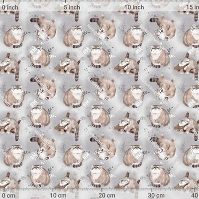 кот манул на сером фоне by E.KK8 500 DPI