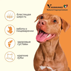 Yummy Linea корм для щенков малых и миниатюрных пород, индейка, 800 гр