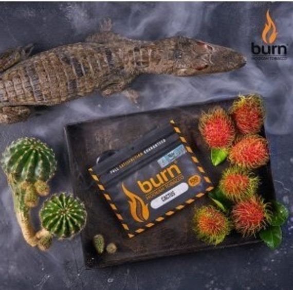 Burn - Cactus (100г)