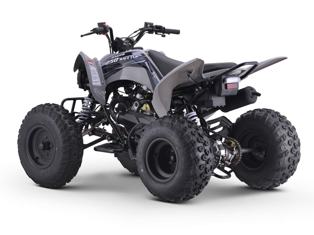 Квадроцикл SHARMAX Raizer Race Cup 250