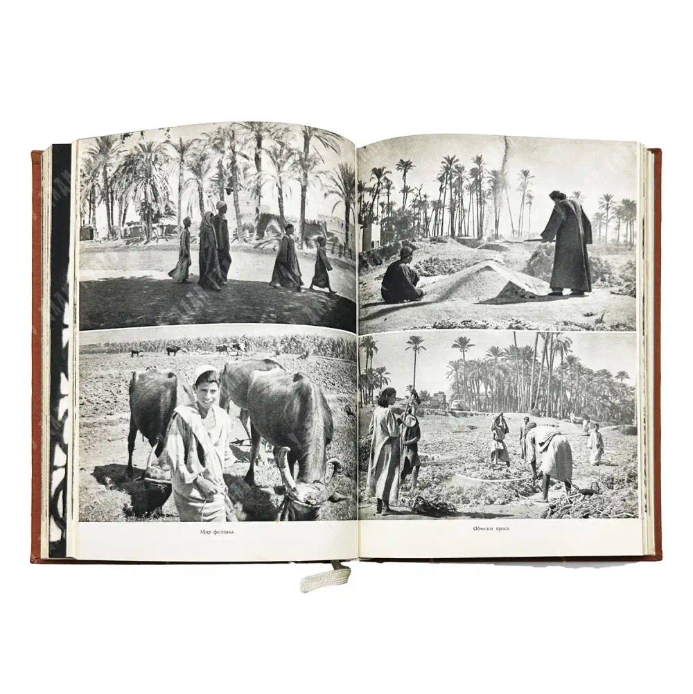 Ганзелка И. Африка грез и действительности: в 3 т. Т. 1, 3. Прага: Артия, 1956-1961.
