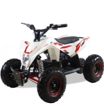 Детский квадроцикл MOTAX GEKKON 1300W