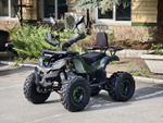 Lion 125 CC камуфляж