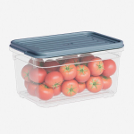 Лоток прозрачный с крышкой, цвет серый 700 мл