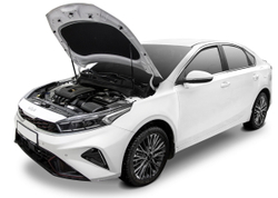 Газовые упоры капота АвтоУпор для Kia Cerato IV 2018-2021 2021-н.в., 2 шт., UKICER021