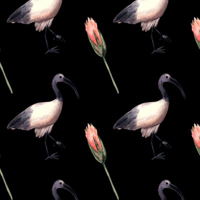 ибис и лотос