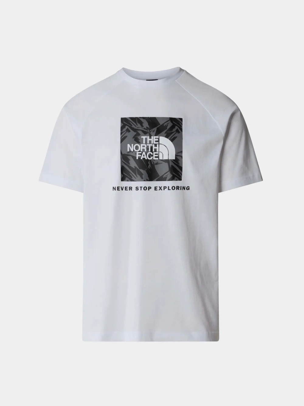 Футболка мужская The North Face Men’s S/S Fine Tee NF0A87NJZI51