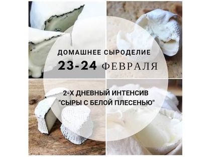 Приглашение на двухдневный интенсив «Сыры с белой плесенью»