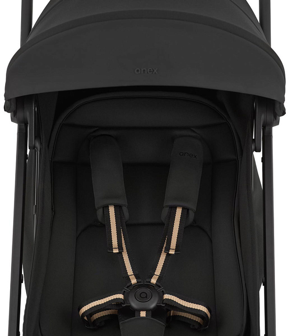 Детская прогулочная коляска Anex Air-X2 Nero