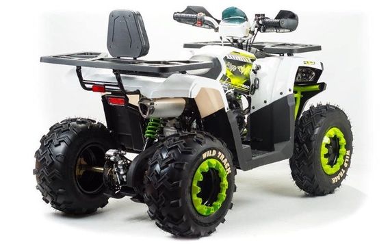 Квадроцикл MOTOLAND ATV 200 Wild Track