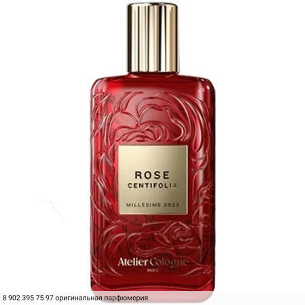 Rose Centifolia Millesime 2023