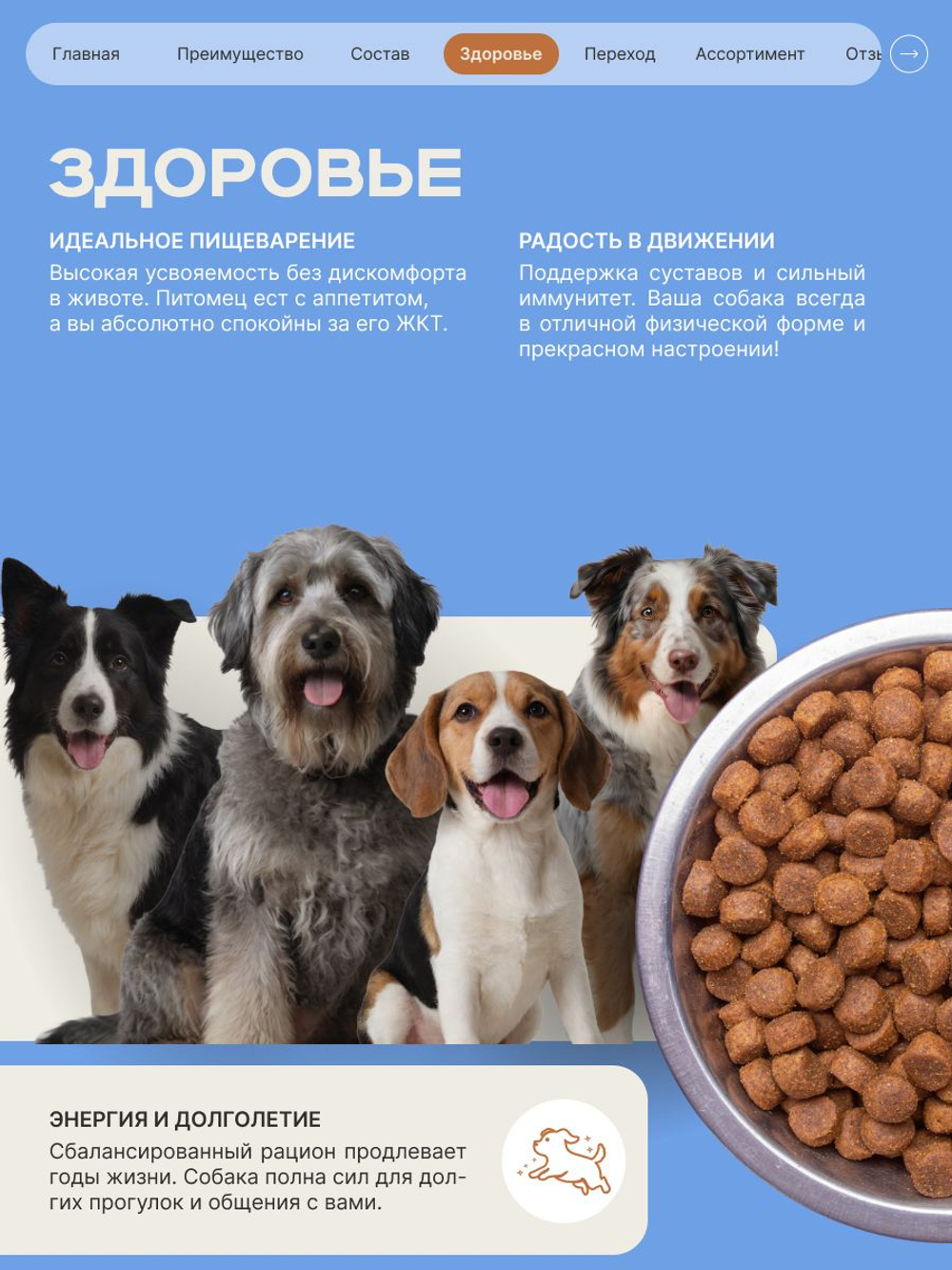 Корм сухой для пожилых собак породы Вельш-корги пемброк старше 5 лет, с индейкой, 3 кг, QUATTRO