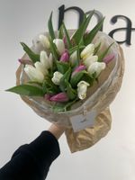 Букет из 25 тюльпанов белого и лавандового цвета