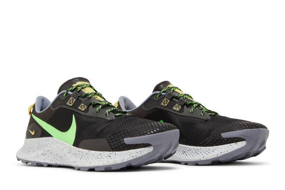 Кроссовки Nike Pegasus Trail 3