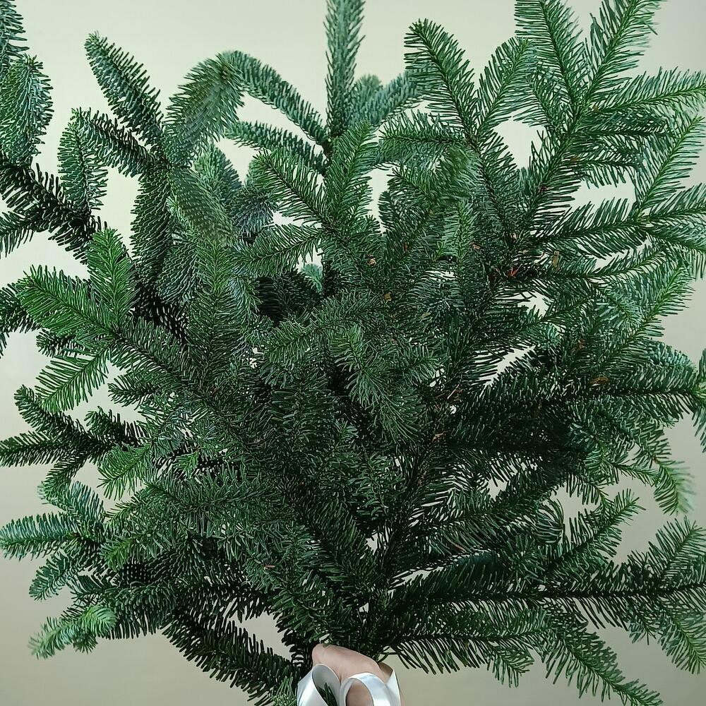 Еловая ветка нобилис Датская ель 3 шт.