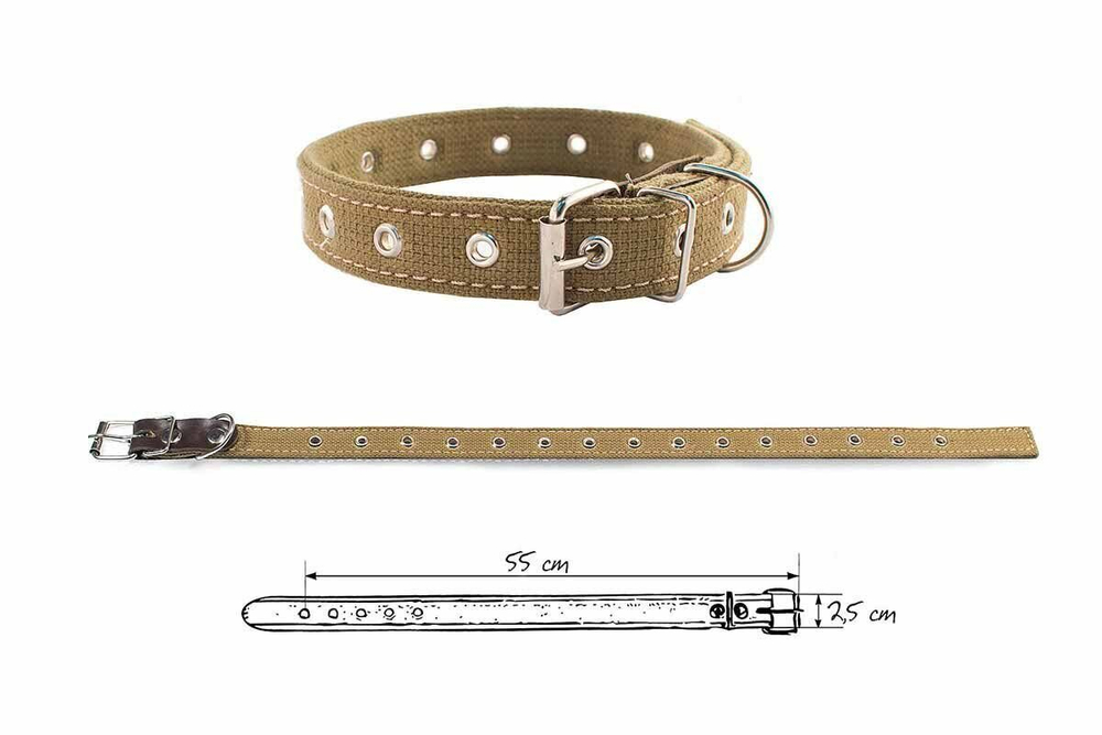 ДАРЭЛЕНД Ошейник брезентовый двойной 25 мм, 45-57 см