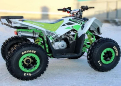 Квадроцикл MOTOLAND 125 Coyote (2021 Г.)