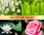 Lily of the Valley (Ландыш)