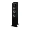 Quad S-5 Black Oak