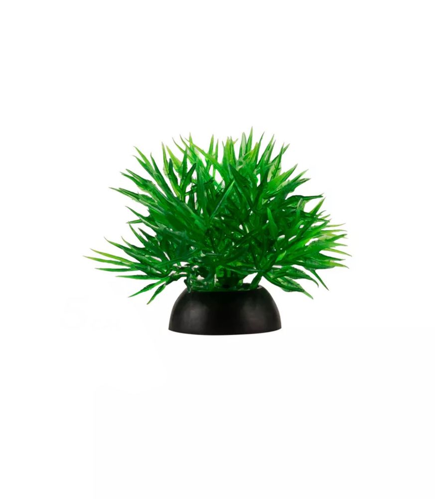 Растение зеленое колючка 4*5см