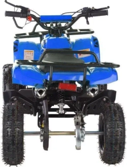 Квадроцикл MOTAX ATV Mini Grizlik X-16 (э/с)