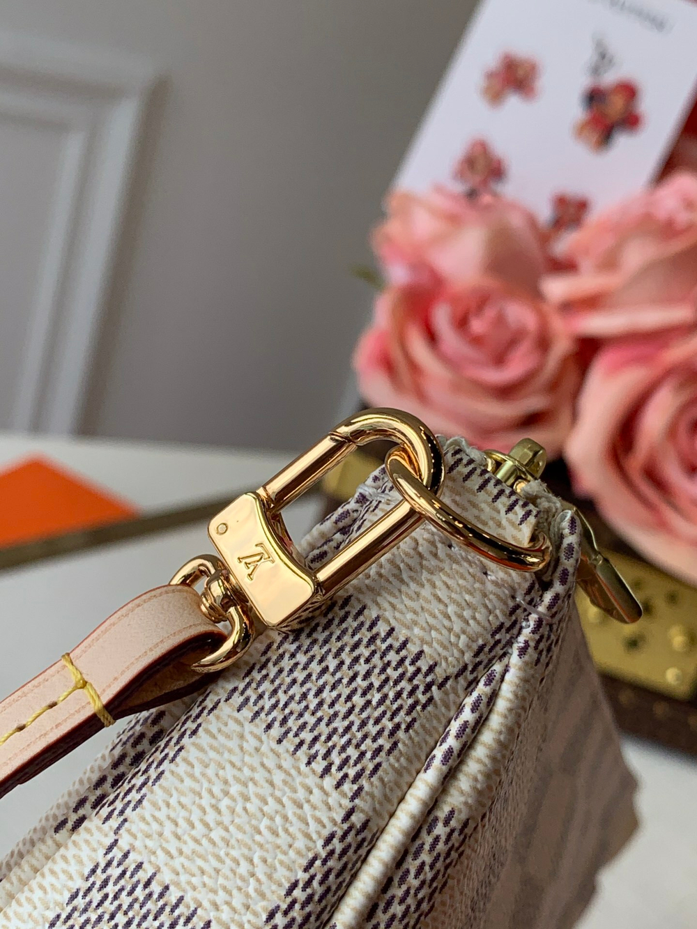 Louis Vuitton Pochette Accessoires