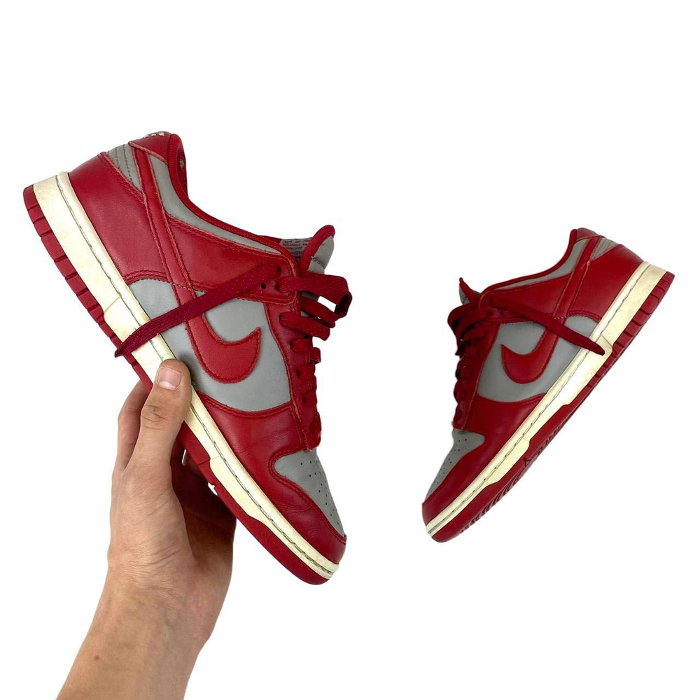 Кроссовки Nike dunk “Archeo Pink”