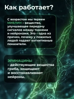 Ежовик Гребенчатый Мицелий 60 капсул