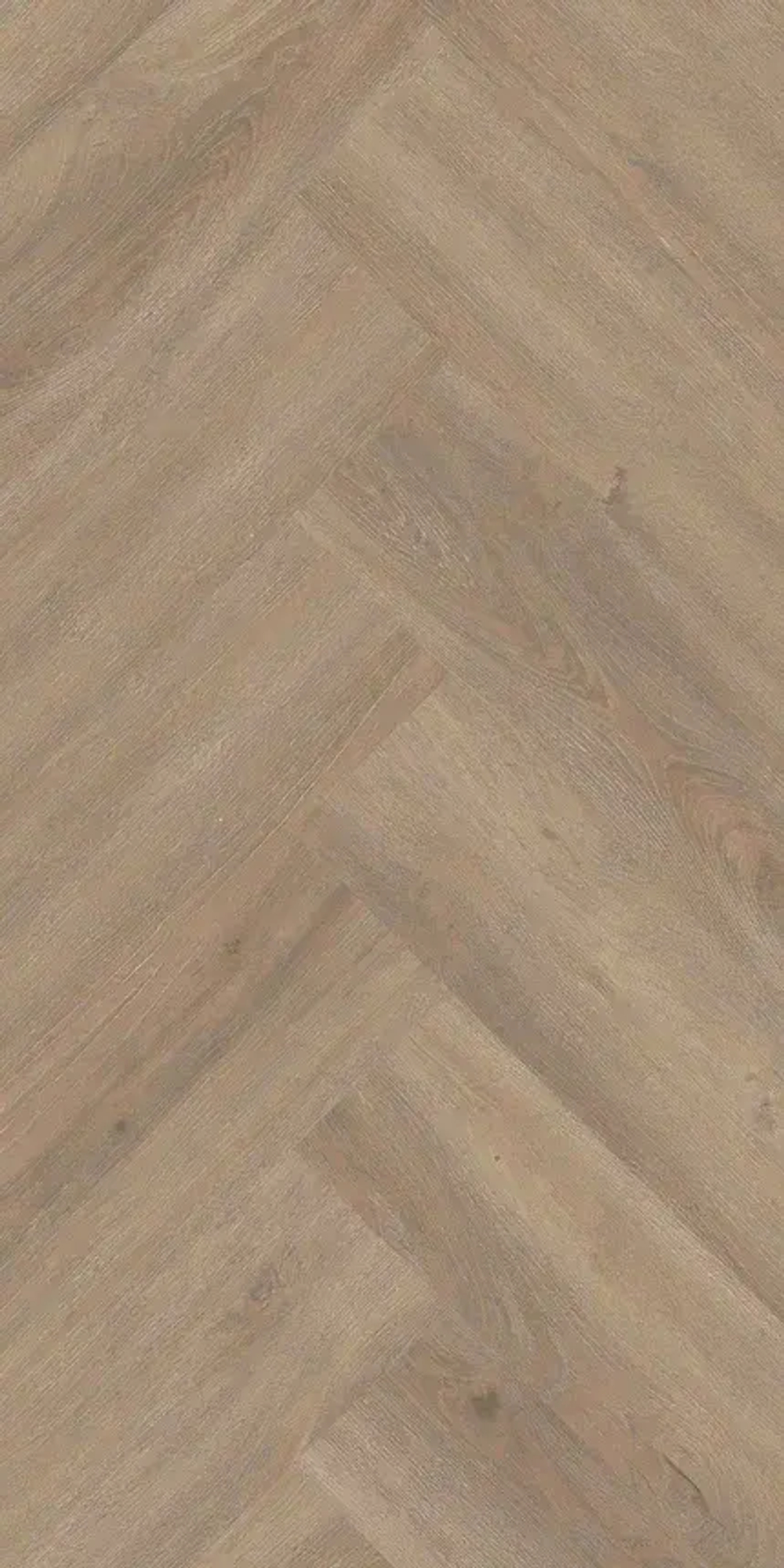 LVT плитка Invictus Maximus Herringbone Divine Oak Cookie