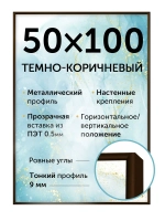 Металлическая рама 50х100 см