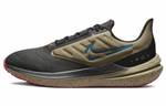 Кроссовки Nike Air Winflo 9 Shield