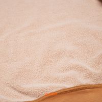  Толстовка мужская Dickies Plentywood Hoodie артикул:DK0A866D0BD1 - купить в магазине Дайс