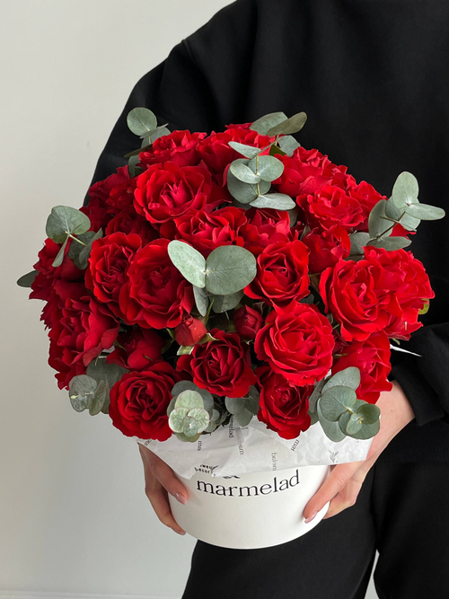 собран сегодня #03