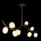 Подвесная люстра Loft IT Sakura 10212/8L Gold