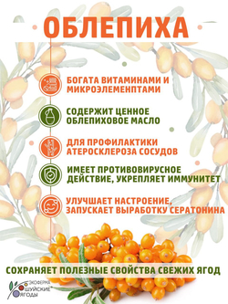 Конфитюр из облепихи с сиропом топинамбура, 280 г