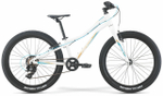 Подростковый велосипед Merida Matts J24+ Eco (2021)